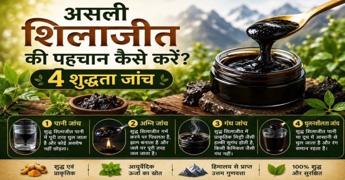 असली शिलाजीत की पहचान कैसे करें? 4 शुद्धता जांच