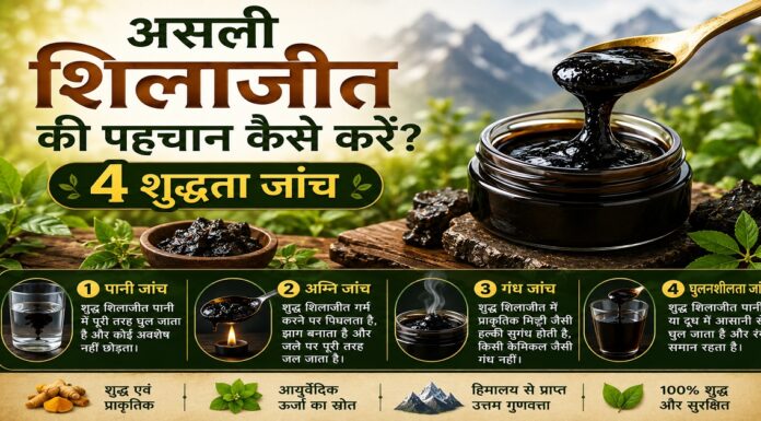 असली शिलाजीत की पहचान कैसे करें? 4 शुद्धता जांच असली शिलाजीत की पहचान कैसे करें? 4 शुद्धता जांच