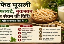 सफेद मूसली के फायदे, नुकसान और सेवन की विधि सफेद मूसली के फायदे, नुकसान और सेवन की विधि