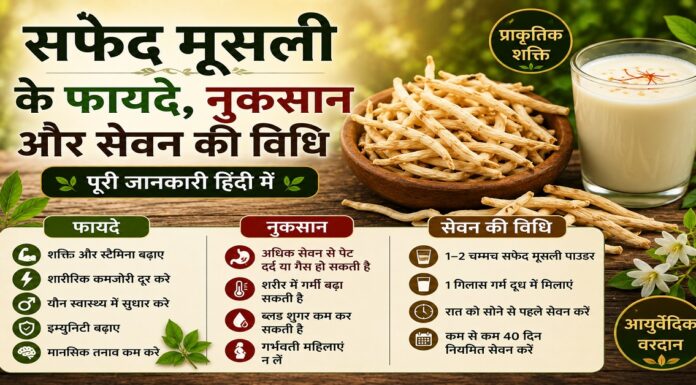 सफेद मूसली के फायदे, नुकसान और सेवन की विधि सफेद मूसली के फायदे, नुकसान और सेवन की विधि