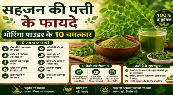 सहजन की पत्ती के फायदे: मोरिंगा पाउडर के 10 चमत्कार सहजन की पत्ती के फायदे: मोरिंगा पाउडर के 10 चमत्कार