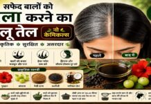 सफेद बालों को काला करने का घरेलू तेल: नो केमिकल्स सफेद बालों को काला करने का घरेलू तेल: नो केमिकल्स
