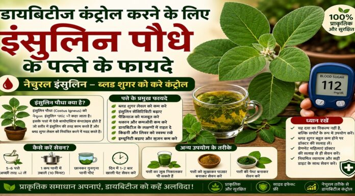 डायबिटीज कंट्रोल करने के लिए इंसुलिन पौधे के पत्ते के फायदे डायबिटीज कंट्रोल करने के लिए इंसुलिन पौधे के पत्ते के फायदे