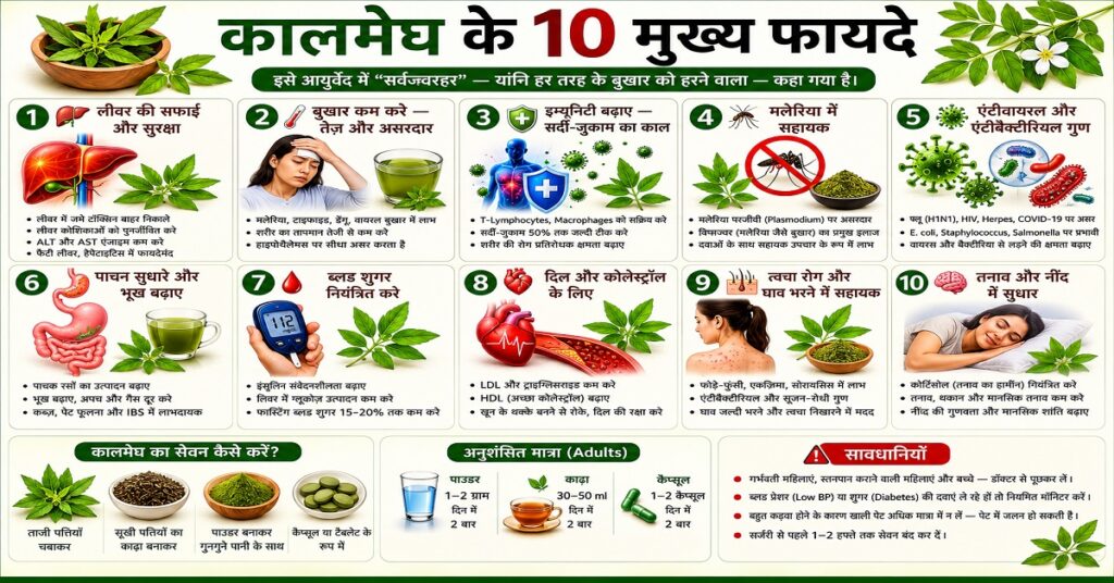कालमेघ के 10 मुख्य फायदे