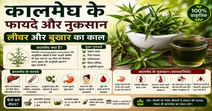 कालमेघ के फायदे और नुकसान: लीवर और बुखार का काल