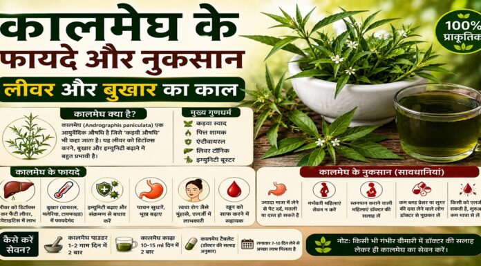 कालमेघ के फायदे और नुकसान: लीवर और बुखार का काल कालमेघ के फायदे और नुकसान: लीवर और बुखार का काल