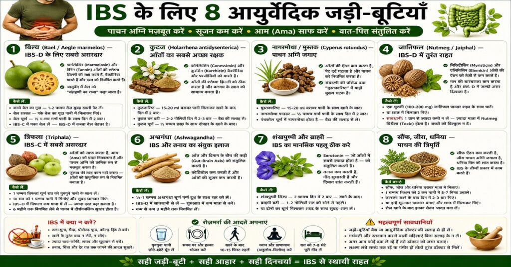 IBS के लिए 8 आयुर्वेदिक जड़ी-बूटियाँ