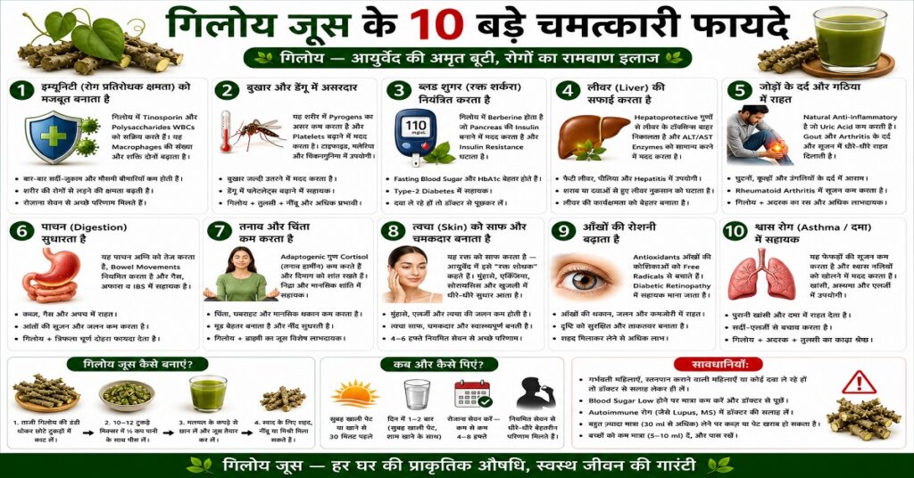 गिलोय जूस के 10 बड़े चमत्कारी फायदे