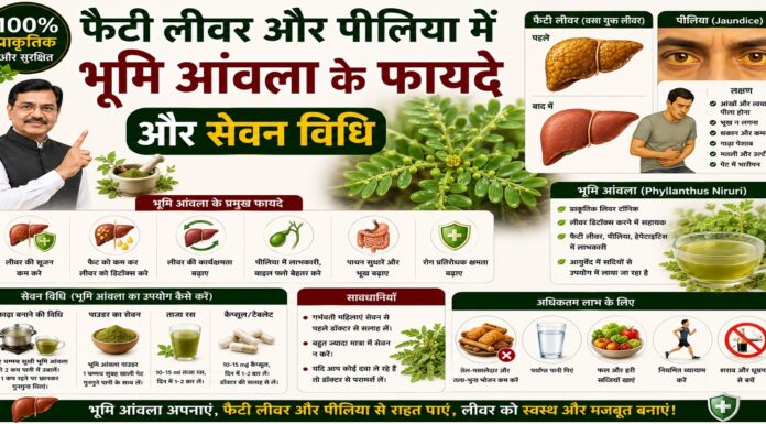 फैटी लीवर और पीलिया में भूमि आंवला के फायदे और सेवन विधि फैटी लीवर और पीलिया में भूमि आंवला के फायदे और सेवन विधि