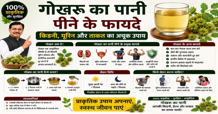 गोखरू का पानी पीने के फायदे: किडनी, यूरिन और ताकत का अचूक उपाय गोखरू का पानी पीने के फायदे: किडनी, यूरिन और ताकत का अचूक उपाय