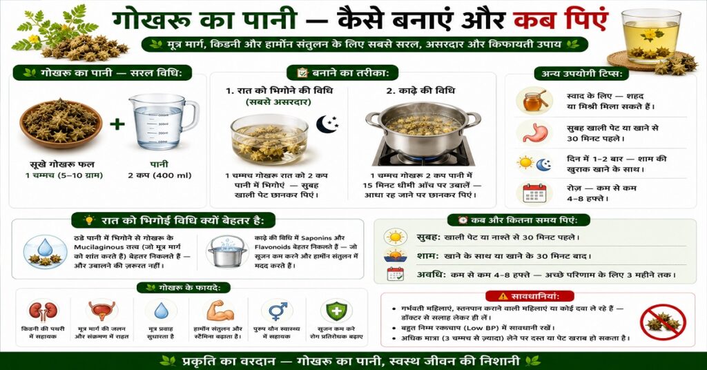 गोखरू का पानी — कैसे बनाएं और कब पिएं