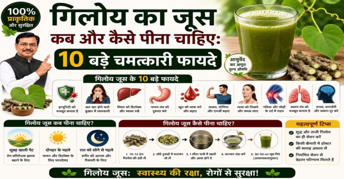 गिलोय का जूस कब और कैसे पीना चाहिए: 10 बड़े चमत्कारी फायदे