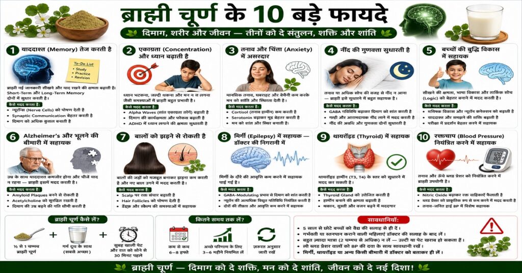 ब्राह्मी चूर्ण के 10 बड़े फायदे