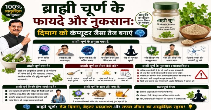 ब्राह्मी चूर्ण के फायदे और नुकसान: दिमाग को कंप्यूटर जैसा तेज बनाएं ब्राह्मी चूर्ण के फायदे और नुकसान: दिमाग को कंप्यूटर जैसा तेज बनाएं