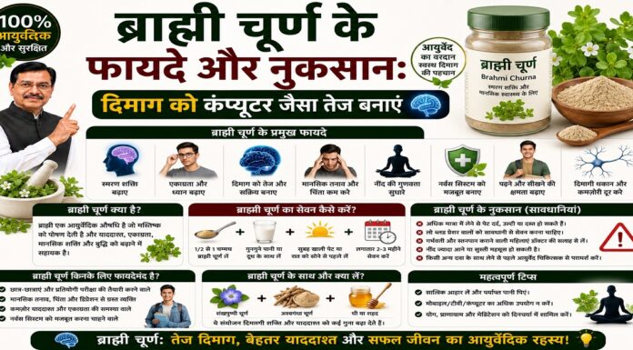 ब्राह्मी चूर्ण के फायदे और नुकसान: दिमाग को कंप्यूटर जैसा तेज बनाएं ब्राह्मी चूर्ण के फायदे और नुकसान: दिमाग को कंप्यूटर जैसा तेज बनाएं