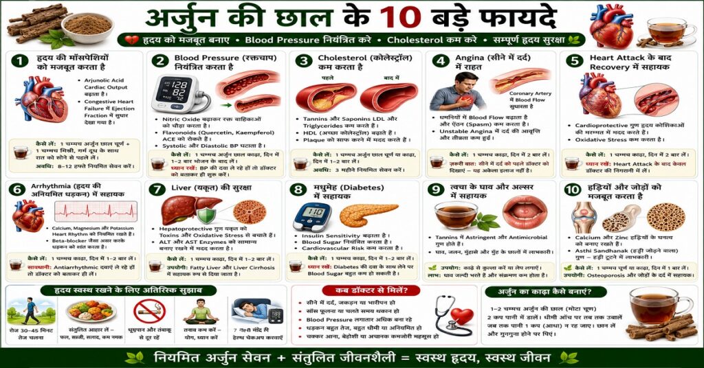 अर्जुन की छाल के 10 बड़े फायदे