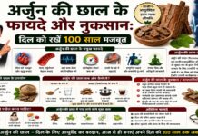 अर्जुन की छाल के फायदे और नुकसान: दिल को रखें 100 साल मजबूत अर्जुन की छाल के फायदे और नुकसान: दिल को रखें 100 साल मजबूत