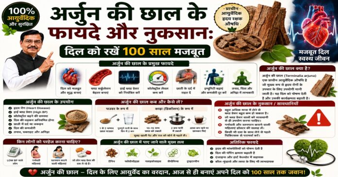 अर्जुन की छाल के फायदे और नुकसान: दिल को रखें 100 साल मजबूत अर्जुन की छाल के फायदे और नुकसान: दिल को रखें 100 साल मजबूत