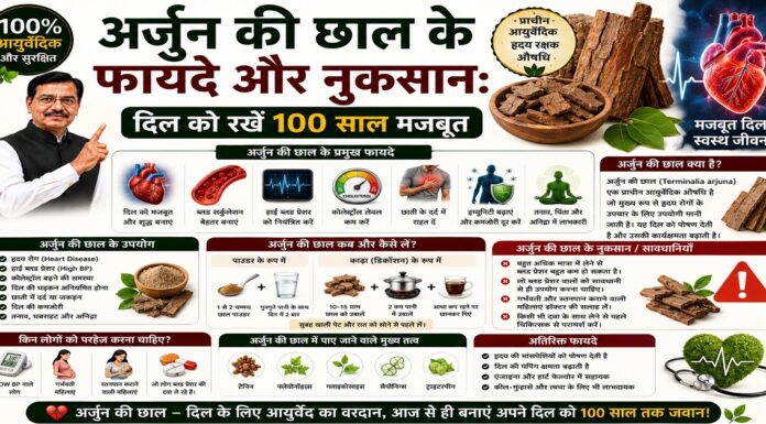 अर्जुन की छाल के फायदे और नुकसान: दिल को रखें 100 साल मजबूत अर्जुन की छाल के फायदे और नुकसान: दिल को रखें 100 साल मजबूत