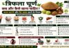 त्रिफला चूर्ण कब और कैसे खाना चाहिए? वजन घटाने और पेट साफ करने के नियम त्रिफला चूर्ण कब और कैसे खाना चाहिए? वजन घटाने और पेट साफ करने के नियम