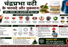 चंद्रप्रभा वटी के फायदे और नुकसान: यूरिन, प्रोस्टेट और कमजोरी की बेस्ट दवा चंद्रप्रभा वटी के फायदे और नुकसान: यूरिन, प्रोस्टेट और कमजोरी की बेस्ट दवा