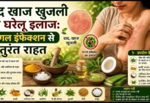 दाद खाज खुजली का घरेलू इलाज: फंगल इंफेक्शन से तुरंत राहत दाद खाज खुजली का घरेलू इलाज: फंगल इंफेक्शन से तुरंत राहत