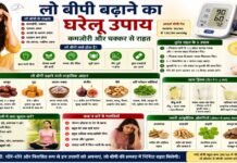 लो बीपी बढ़ाने का घरेलू उपाय: कमजोरी और चक्कर से राहत लो बीपी बढ़ाने का घरेलू उपाय: कमजोरी और चक्कर से राहत