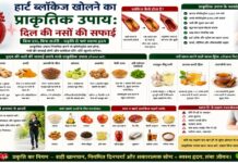 हार्ट ब्लॉकेज खोलने का प्राकृतिक उपाय: दिल की नसों की सफाई हार्ट ब्लॉकेज खोलने का प्राकृतिक उपाय: दिल की नसों की सफाई