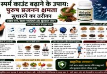 स्पर्म काउंट बढ़ाने के उपाय: पुरुष प्रजनन क्षमता सुधारने का तरीका स्पर्म काउंट बढ़ाने के उपाय: पुरुष प्रजनन क्षमता सुधारने का तरीका