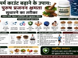 स्पर्म काउंट बढ़ाने के उपाय: पुरुष प्रजनन क्षमता सुधारने का तरीका