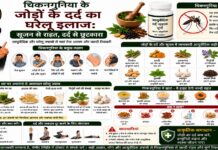 चिकनगुनिया के जोड़ों के दर्द का घरेलू इलाज: सूजन से राहत चिकनगुनिया के जोड़ों के दर्द का घरेलू इलाज: सूजन से राहत