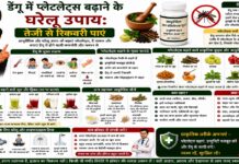 डेंगू में प्लेटलेट्स बढ़ाने के घरेलू उपाय: तेजी से रिकवरी पाएं डेंगू में प्लेटलेट्स बढ़ाने के घरेलू उपाय: तेजी से रिकवरी पाएं