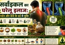 सर्वाइकल का घरेलू इलाज: गर्दन और कंधे के दर्द से मुक्ति सर्वाइकल का घरेलू इलाज: गर्दन और कंधे के दर्द से मुक्ति