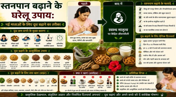स्तनपान बढ़ाने के घरेलू उपाय: नई माताओं के लिए दूध बढ़ाने का तरीका स्तनपान बढ़ाने के घरेलू उपाय: नई माताओं के लिए दूध बढ़ाने का तरीका